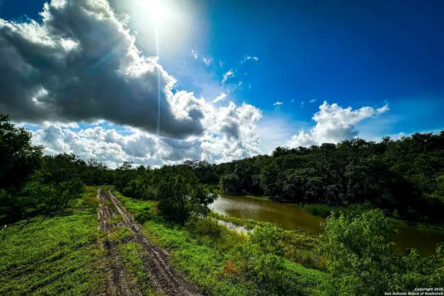 a view of a house with lots of green space
