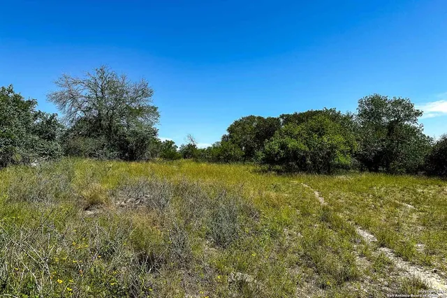 a view of a garden from a lake
