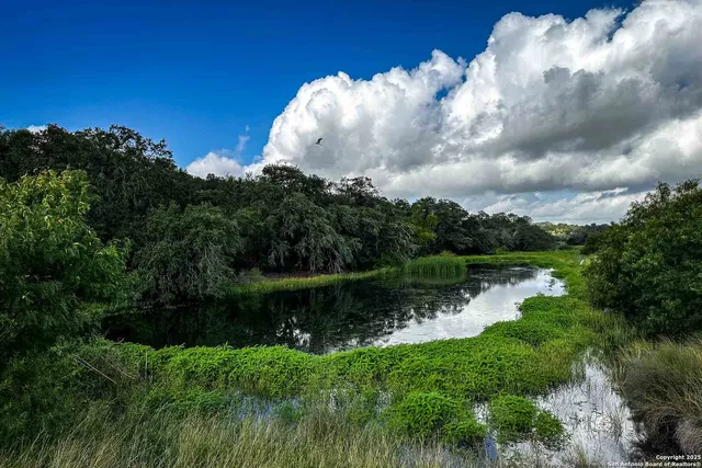 a view of a lake in middle of forest