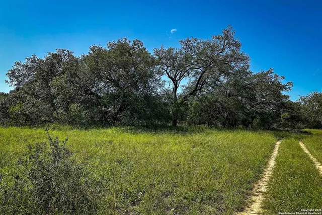 a view of outdoor space yard and patio