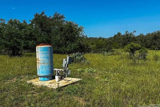 a view of a green field with lots of bushes