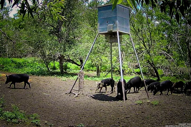 a living room with furniture and a yard
