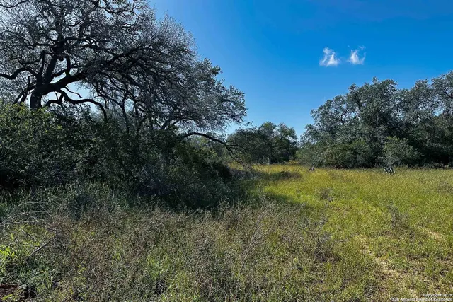 a view of a lake from a yard