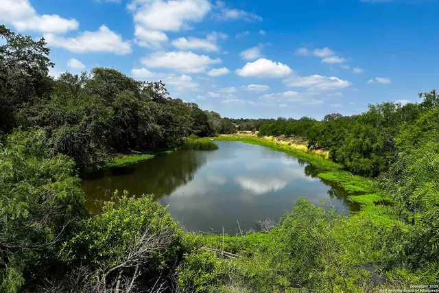 a view of a lake from a yard