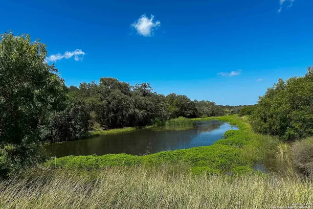 a view of a lush green space