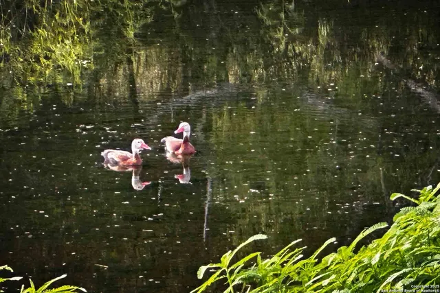a view of lake background