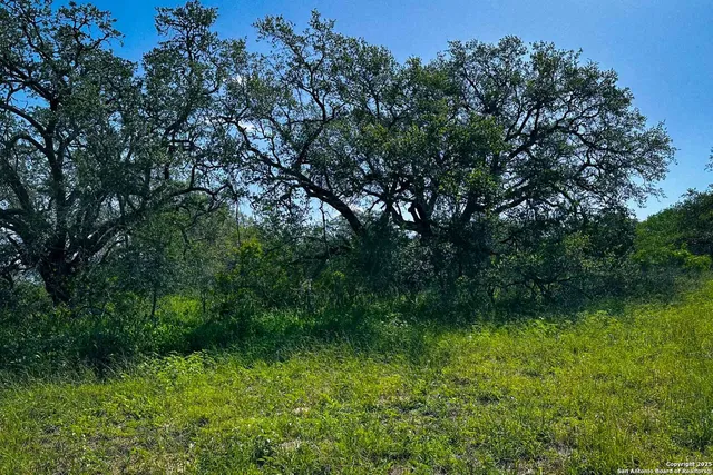 a view of green field with a yard