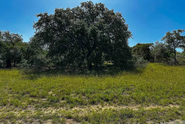 a view of a backyard with table and chairs under an umbrella