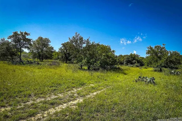 a view of a lake with a big yard