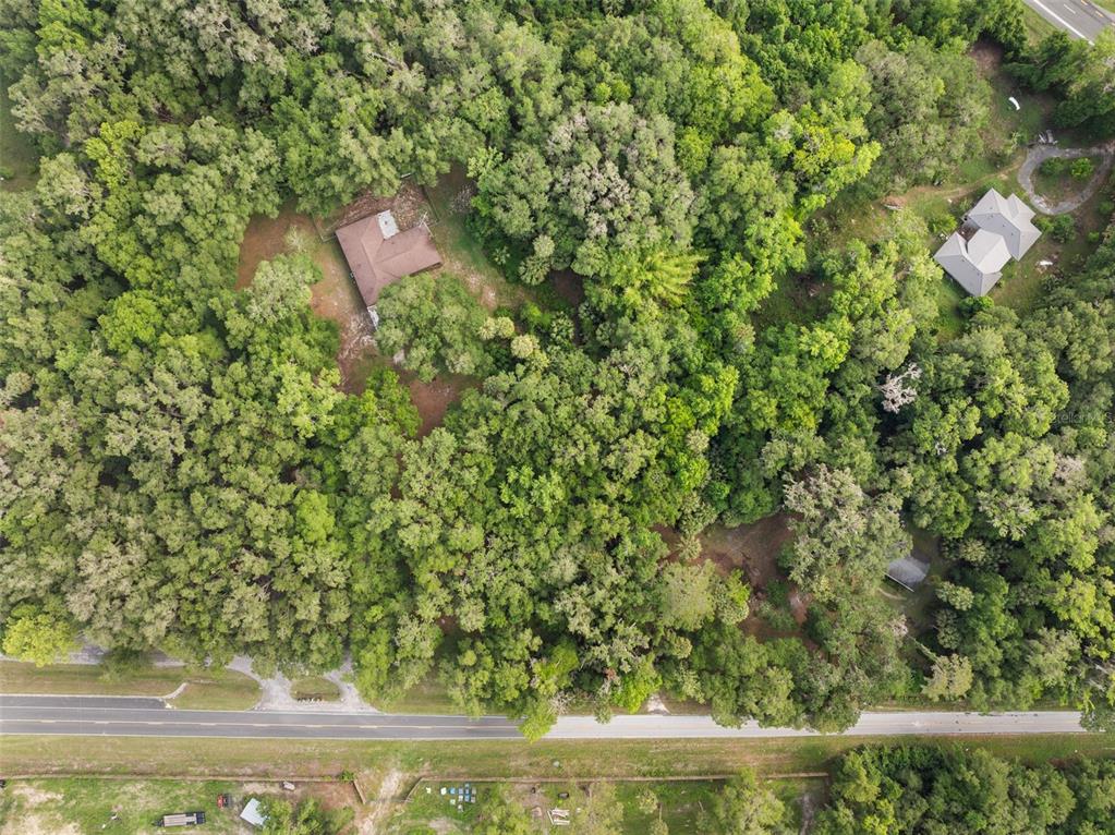 Tbd Southeast Wacahoota Road Micanopy, FL 32667 - Photo 11 of 13 a view of a yard from a balcony