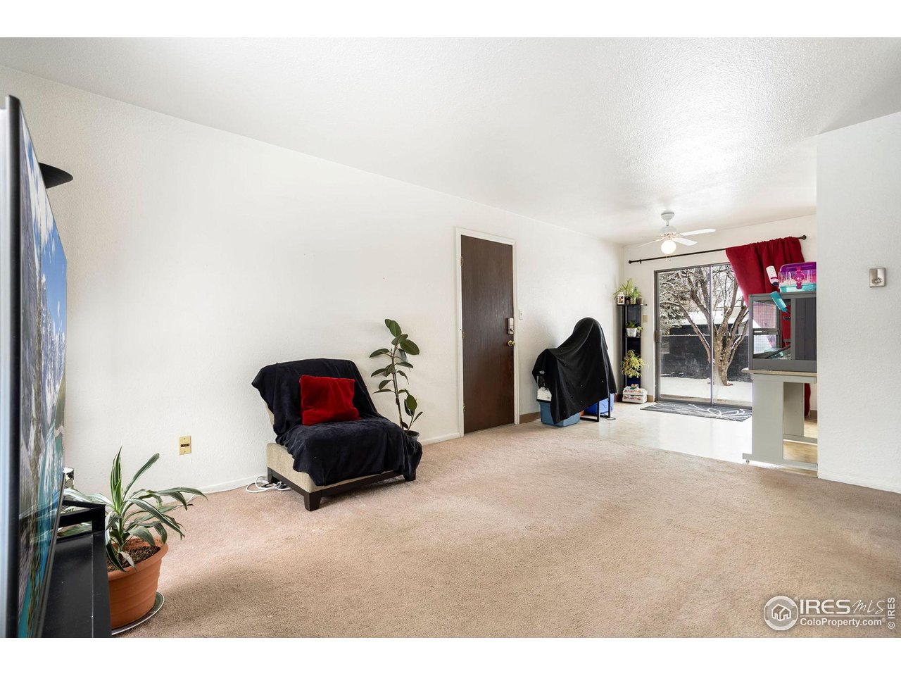 813 Pear Street Fort Collins, CO 80521 - Photo 4 of 25 Gallery Image 4