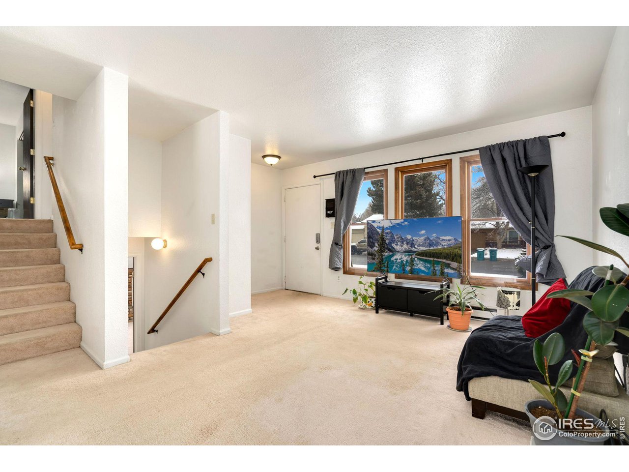 813 Pear Street Fort Collins, CO 80521 - Photo 5 of 25 Gallery Image 5