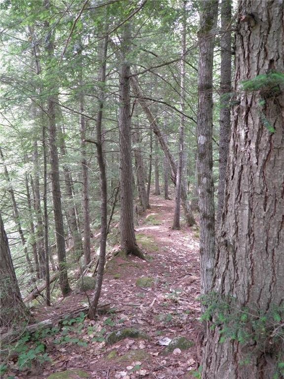 182 Dustin Road Avon, ME 04966 - Photo 7 of 29 Photo