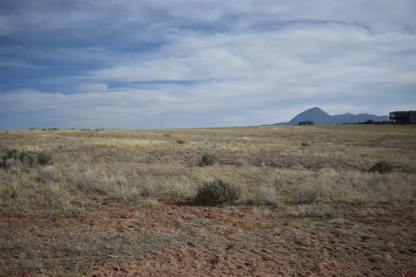 a view of beach and covered with fog