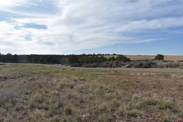 a view of an outdoor space and a yard