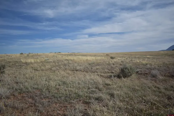 a view of a field