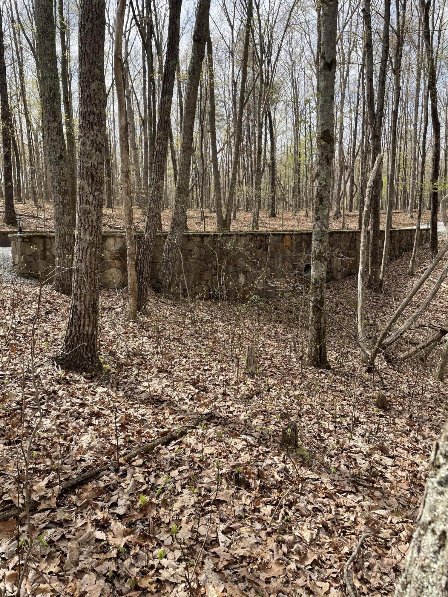 1620 East Overlook Road, Unit 5 Monterey, TN 38574 - Photo 13 of 14 Gallery Image 13