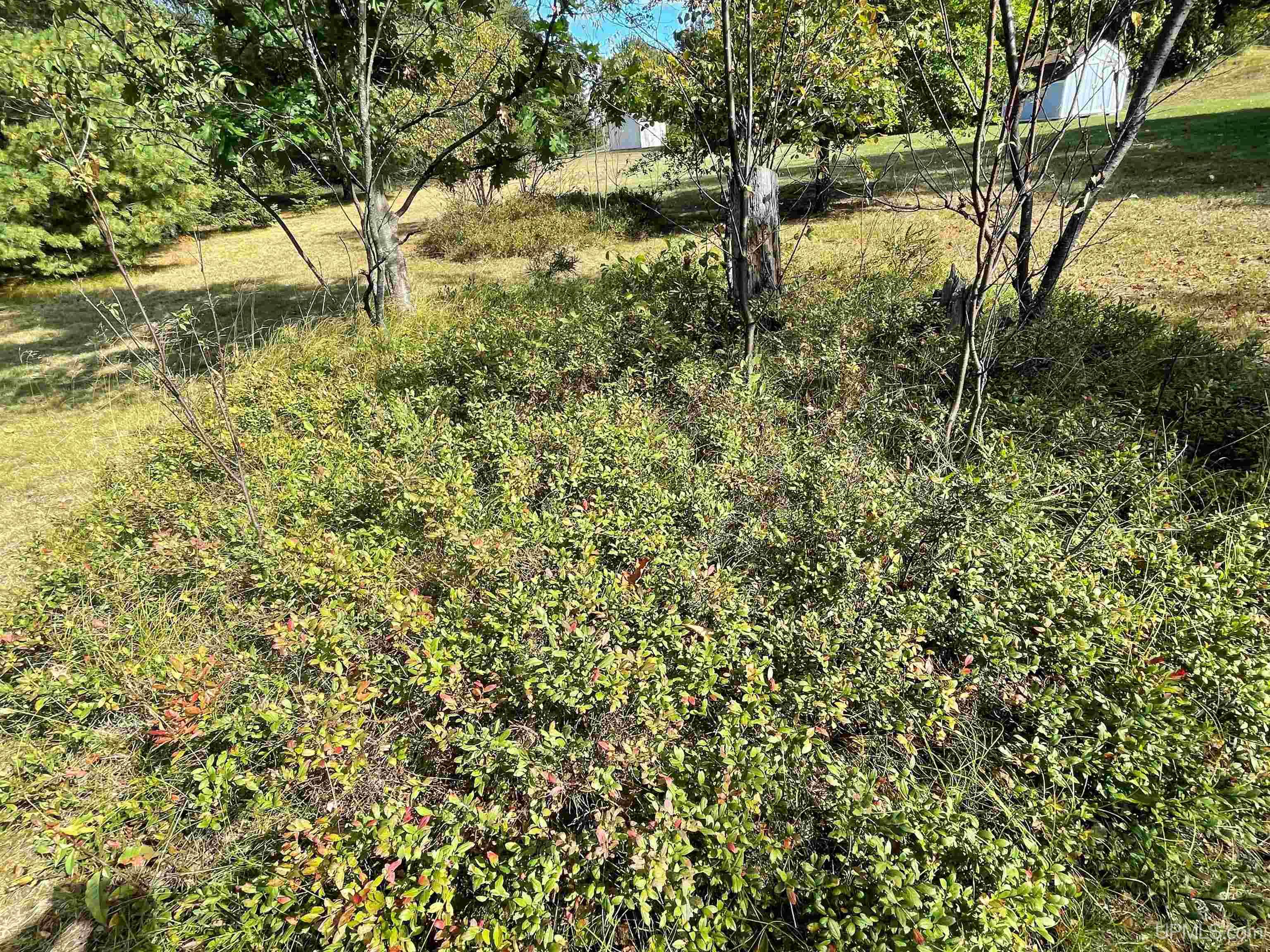 17 South Blue Lake Road Gwinn, MI 49841 - Photo 7 of 38