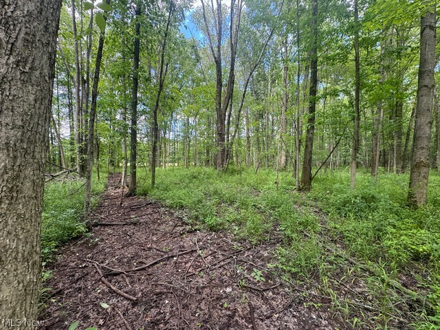 Shafer Road Warren, OH 44481 - Photo 10 of 13 Gallery Image 10
