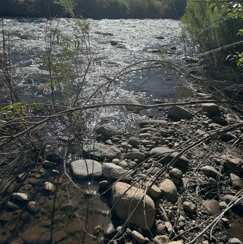 a view of a backyard of a house