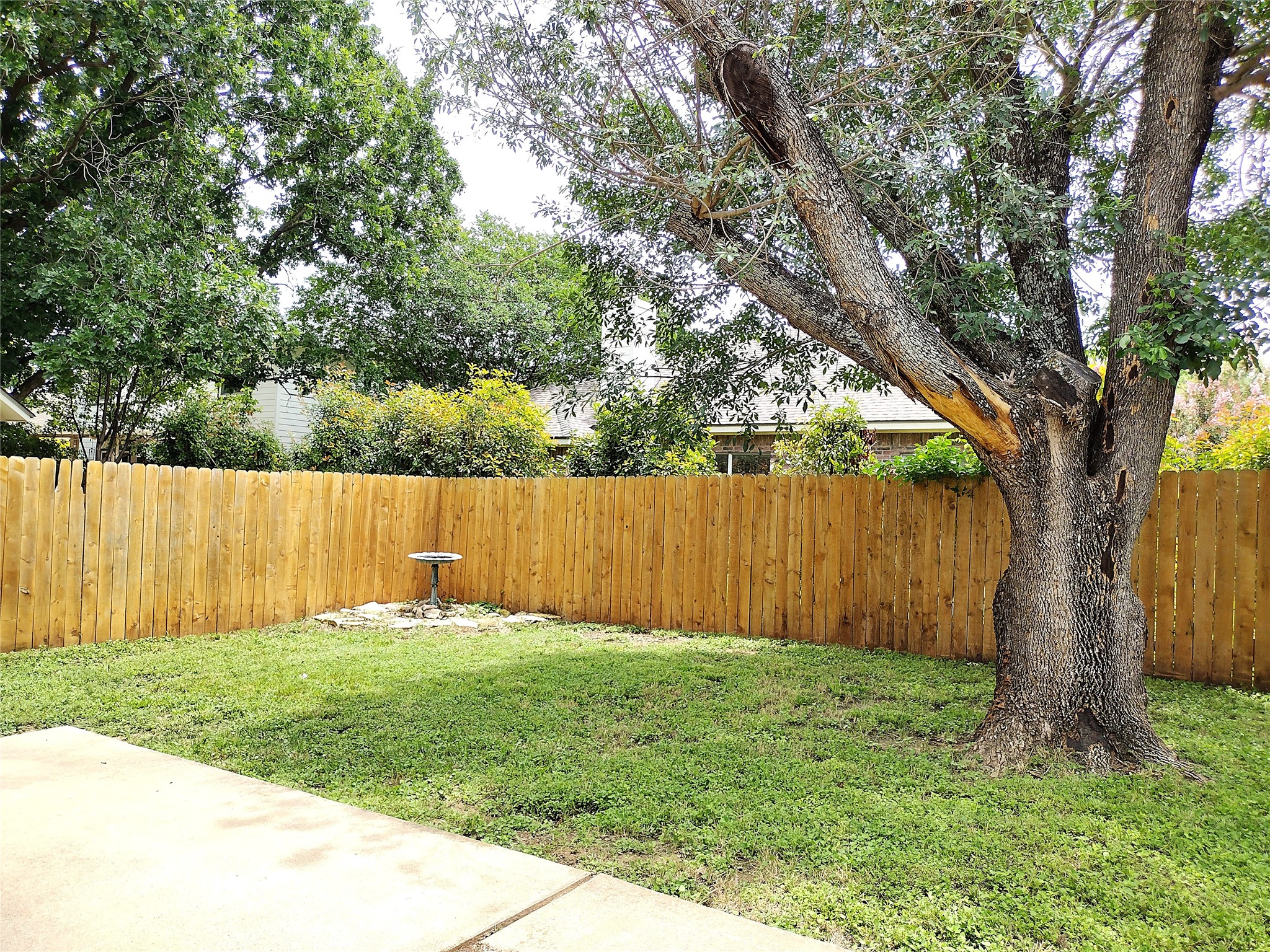 1813 Laurel Path Round Rock, TX 78664 - Photo 29 of 35 A private, enclosed backyard offers a verdant retreat, complete with a mature shade tree.