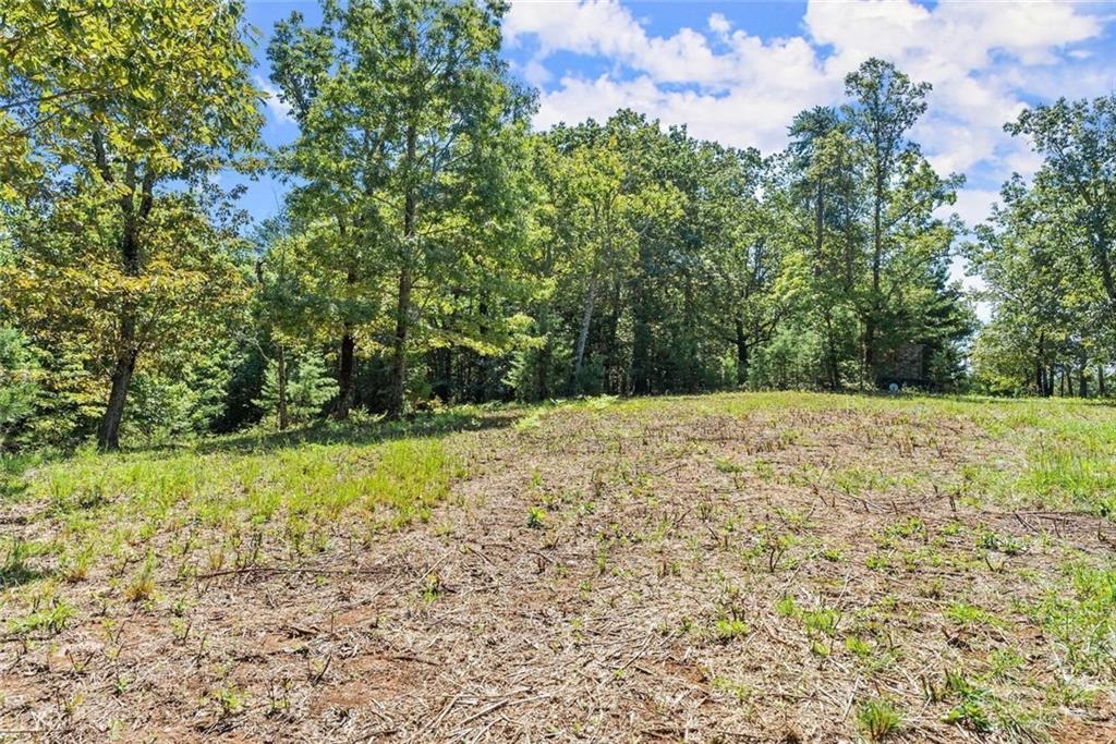 0 Helton Road Cleveland, GA 30528 - Photo 22 of 79 Gallery Image 22