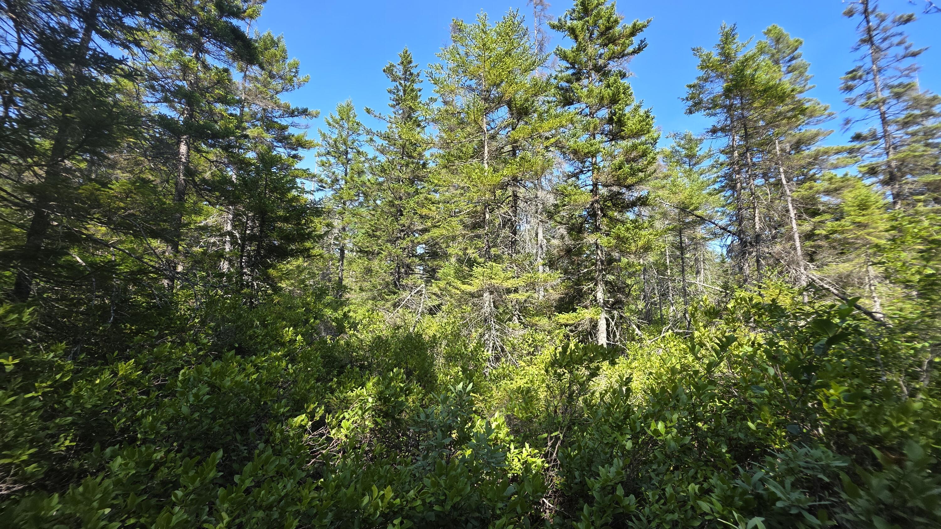 1 Map Road Jonesboro, ME 04648 - Photo 9 of 25 20260728_150555