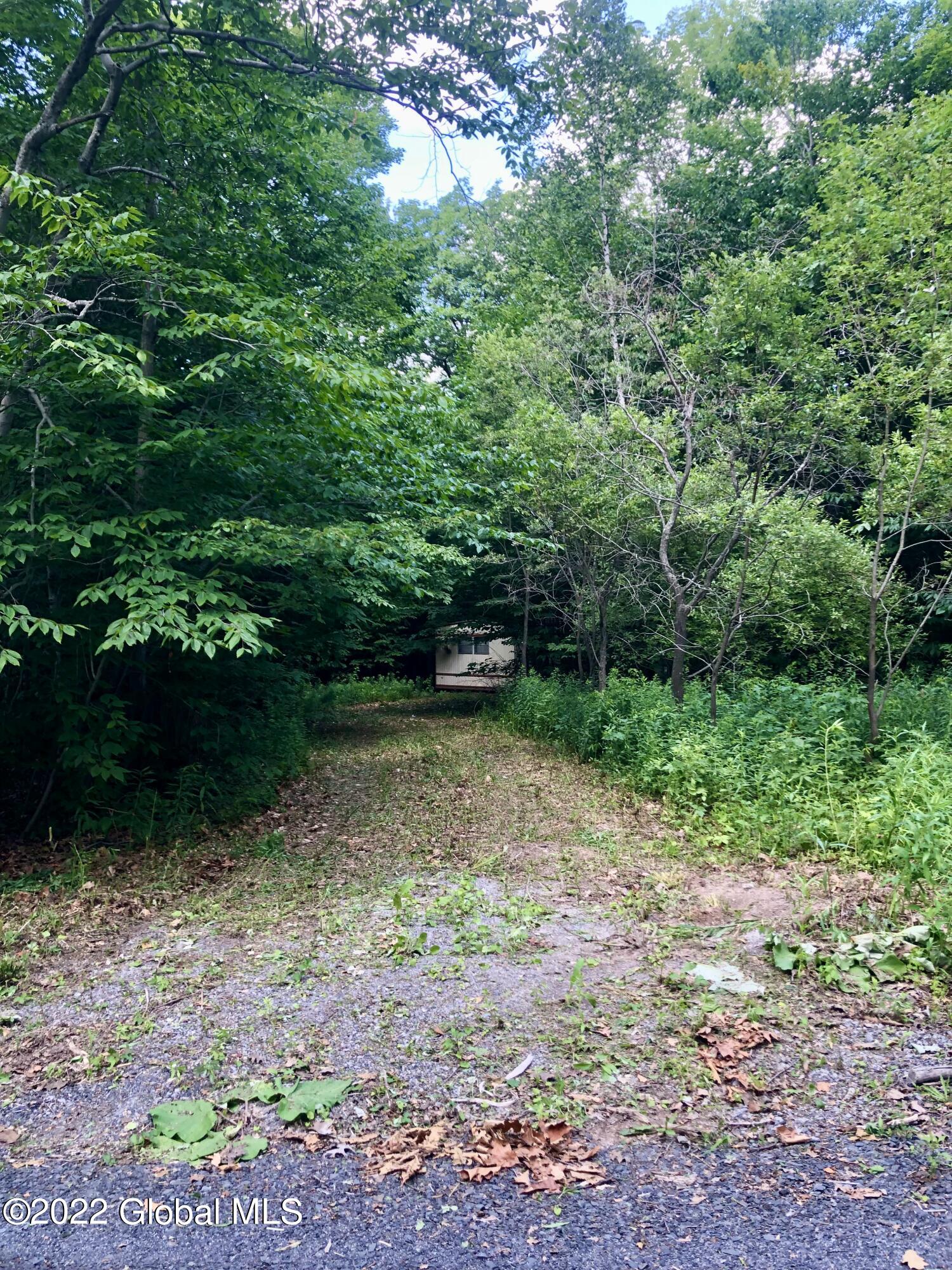 792 Pond Hill Road Rensselaerville, NY 12147 - Photo 1 of 13 First driveway