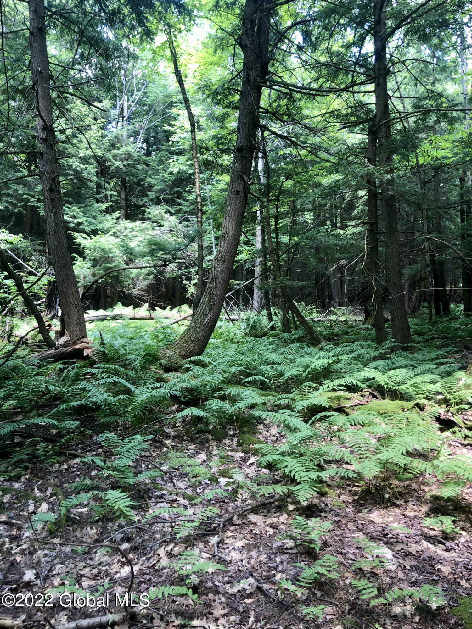 792 Pond Hill Road Rensselaerville, NY 12147 - Photo 7 of 13 E05272A9-C441-495B-9210-29F32FBFC89E_1_2