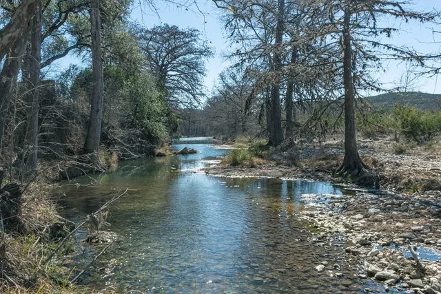 a view of pool with trees in background