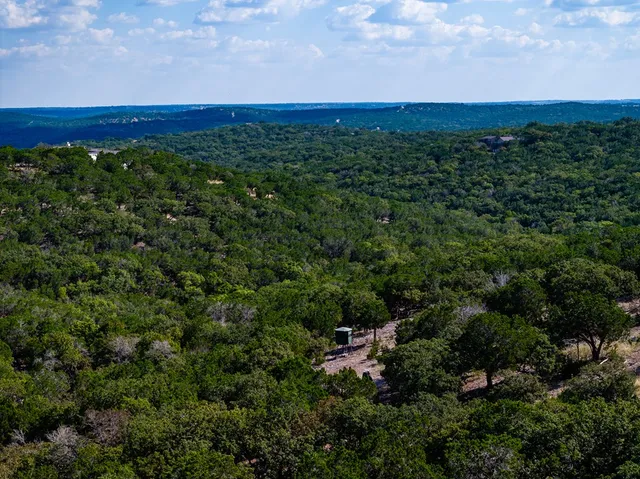 a view of a city with lush green forest