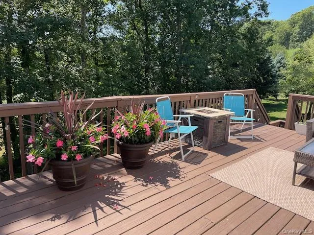 a view of a yard with plants