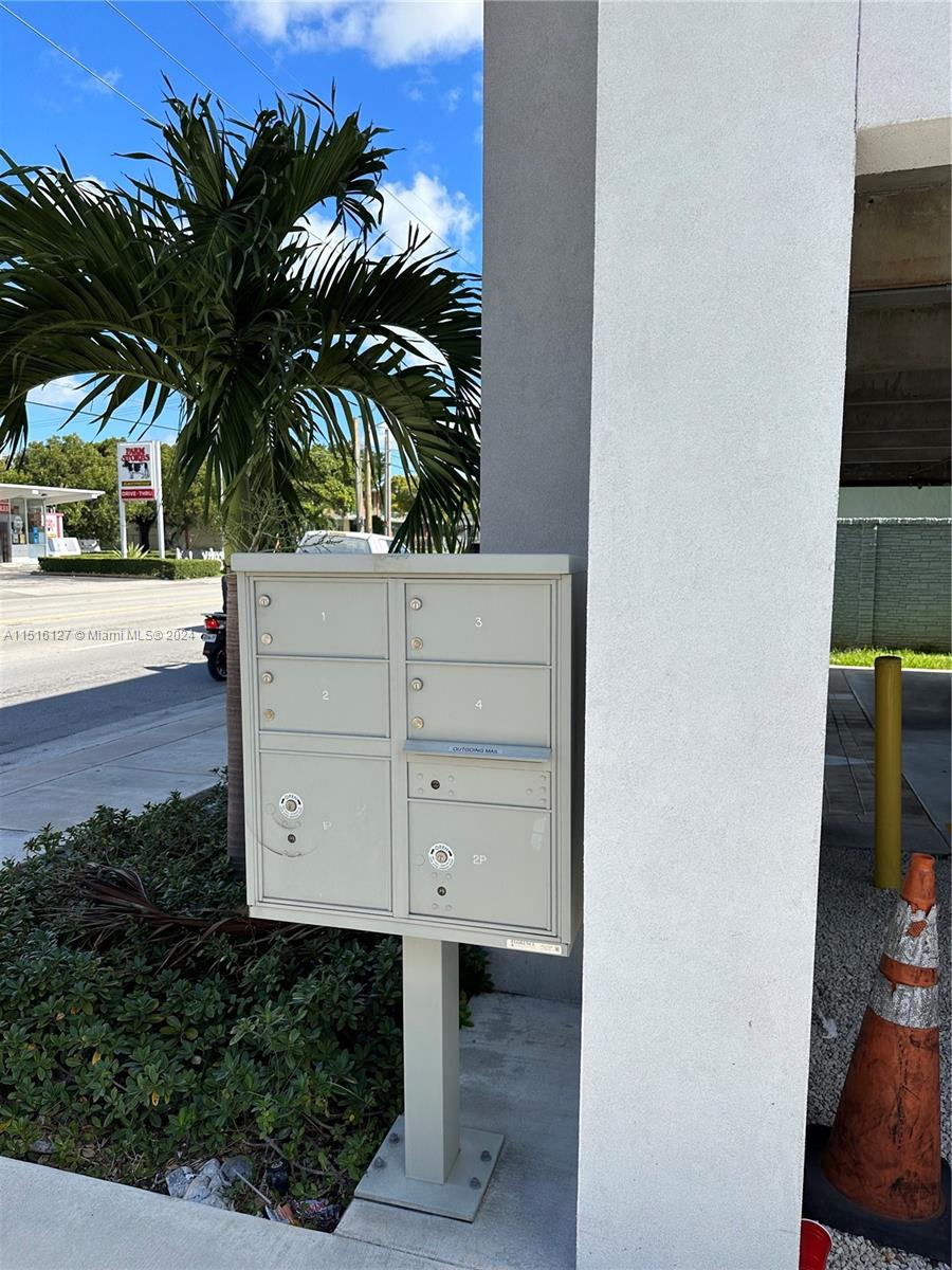 Hialeah Hialeah, FL 33012 - Photo 8 of 10 a view of a palm tree with yard