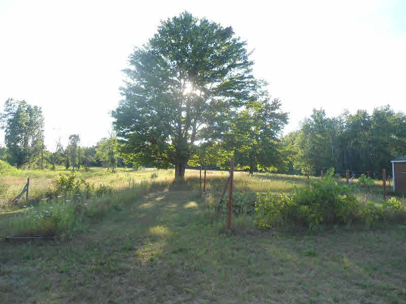 2996 Rhodes Road Rhodes, MI 48652 - Photo 17 of 19