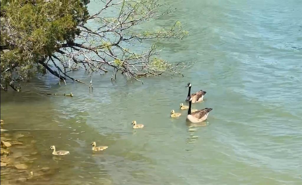 4415 Chapel Road Graham, TX 76450 - Photo 37 of 40 a bathroom with a sink