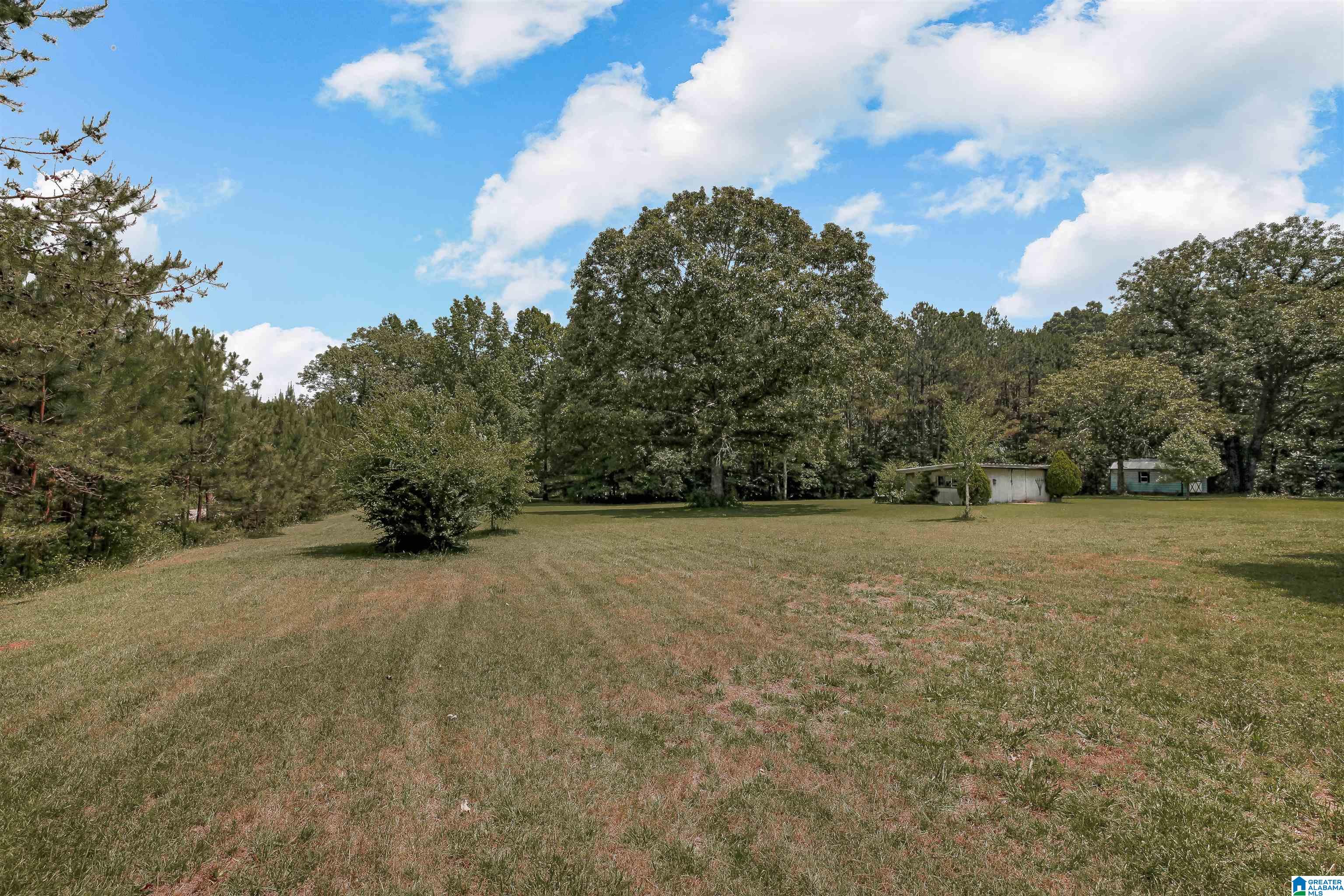 8495 Clayton Cove Road Springville, AL 35146 - Photo 28 of 37
