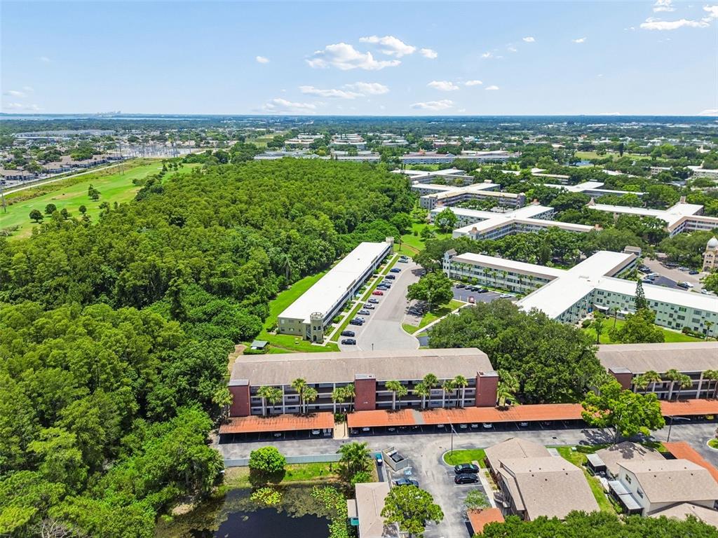 2438 Enterprise Road, Unit 25 Clearwater, FL 33763 - Photo 45 of 71