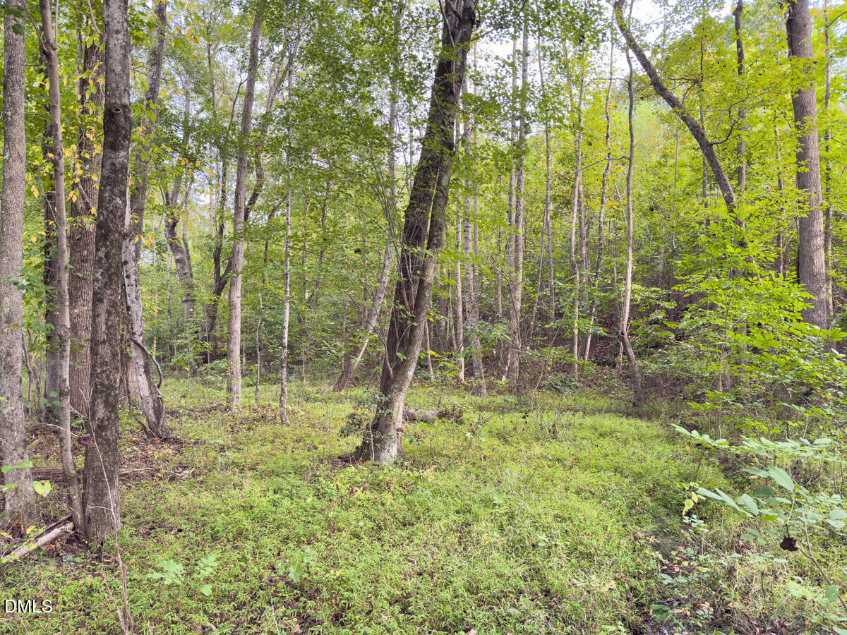 0 Mann Oakley Road Rougemont, NC 27572 - Photo 47 of 55 46
