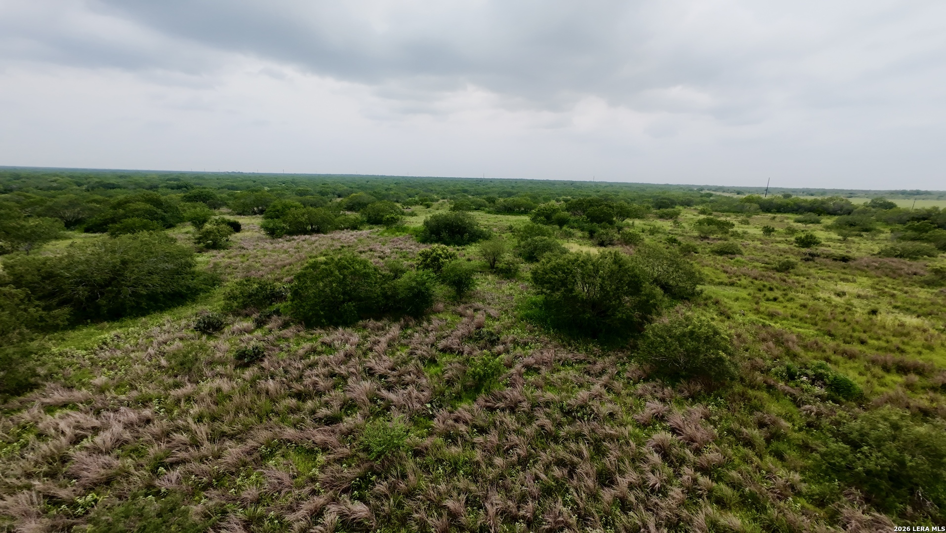 0 Farm To Market Rd 3249 Realitos, TX 78376 - Photo 9 of 14