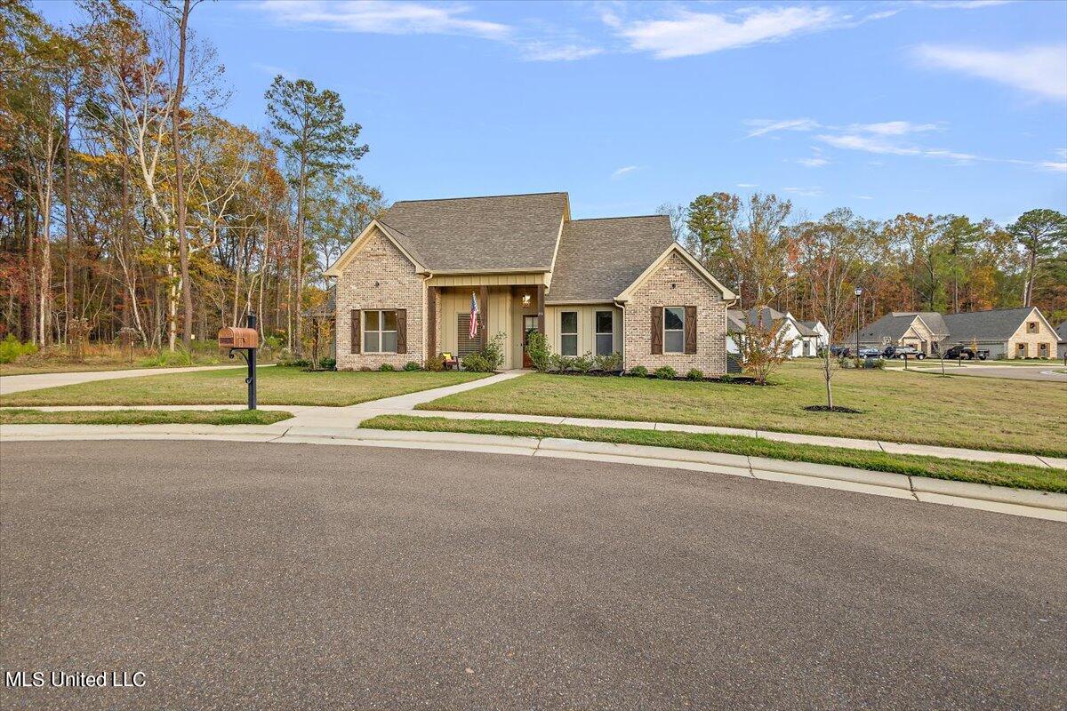 252 Terrapin Creek Road Brandon, MS 39042 - Photo 44 of 44 61-HTP20995