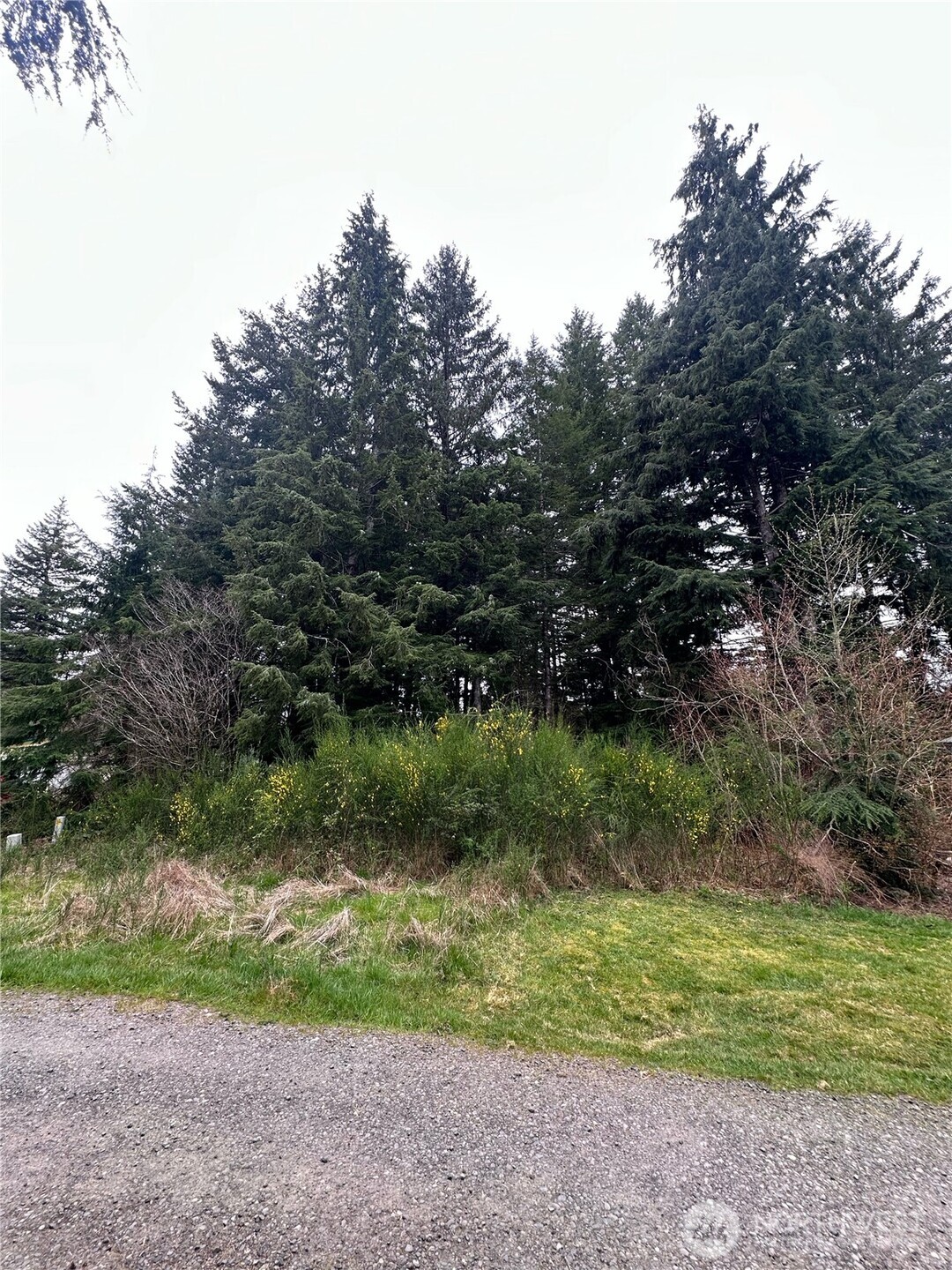 746 Trillium Avenue Forks, WA 98331 - Photo 7 of 10 a view of outdoor space and yard