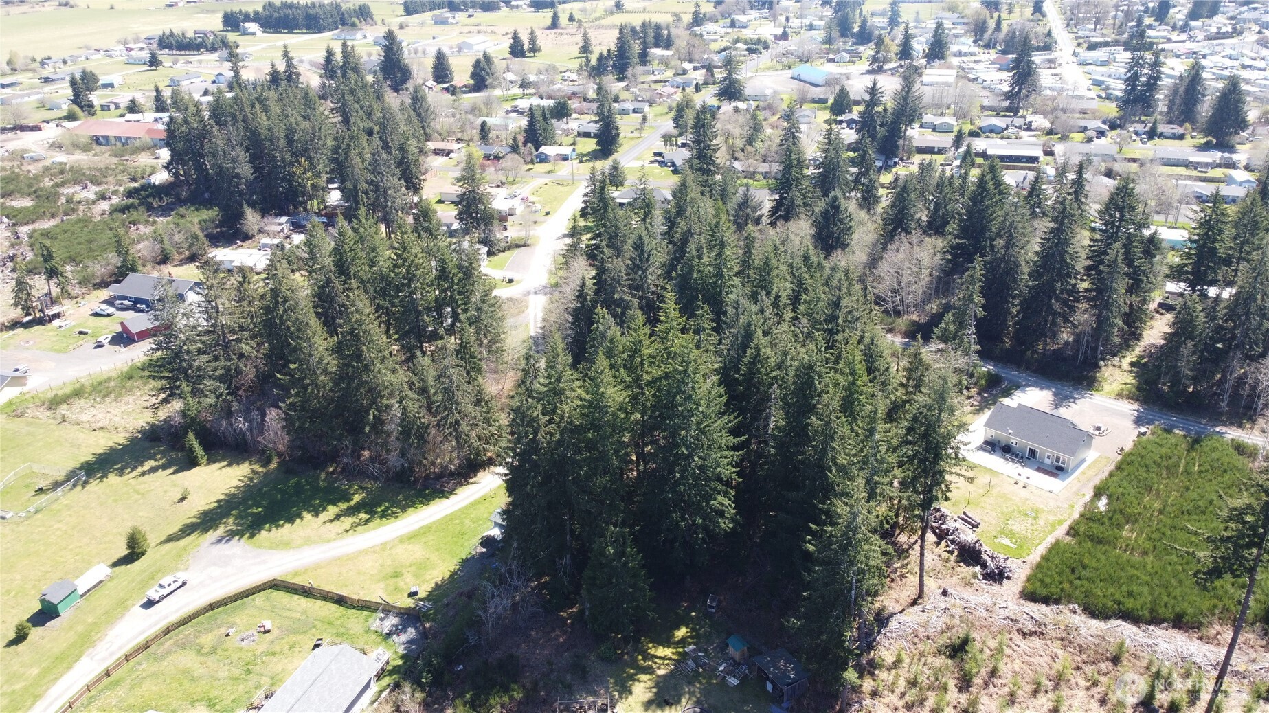 746 Trillium Avenue Forks, WA 98331 - Photo 9 of 10 a view of a city