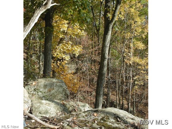 0 Peniel Road Reedy, WV 25270 - Photo 3 of 3