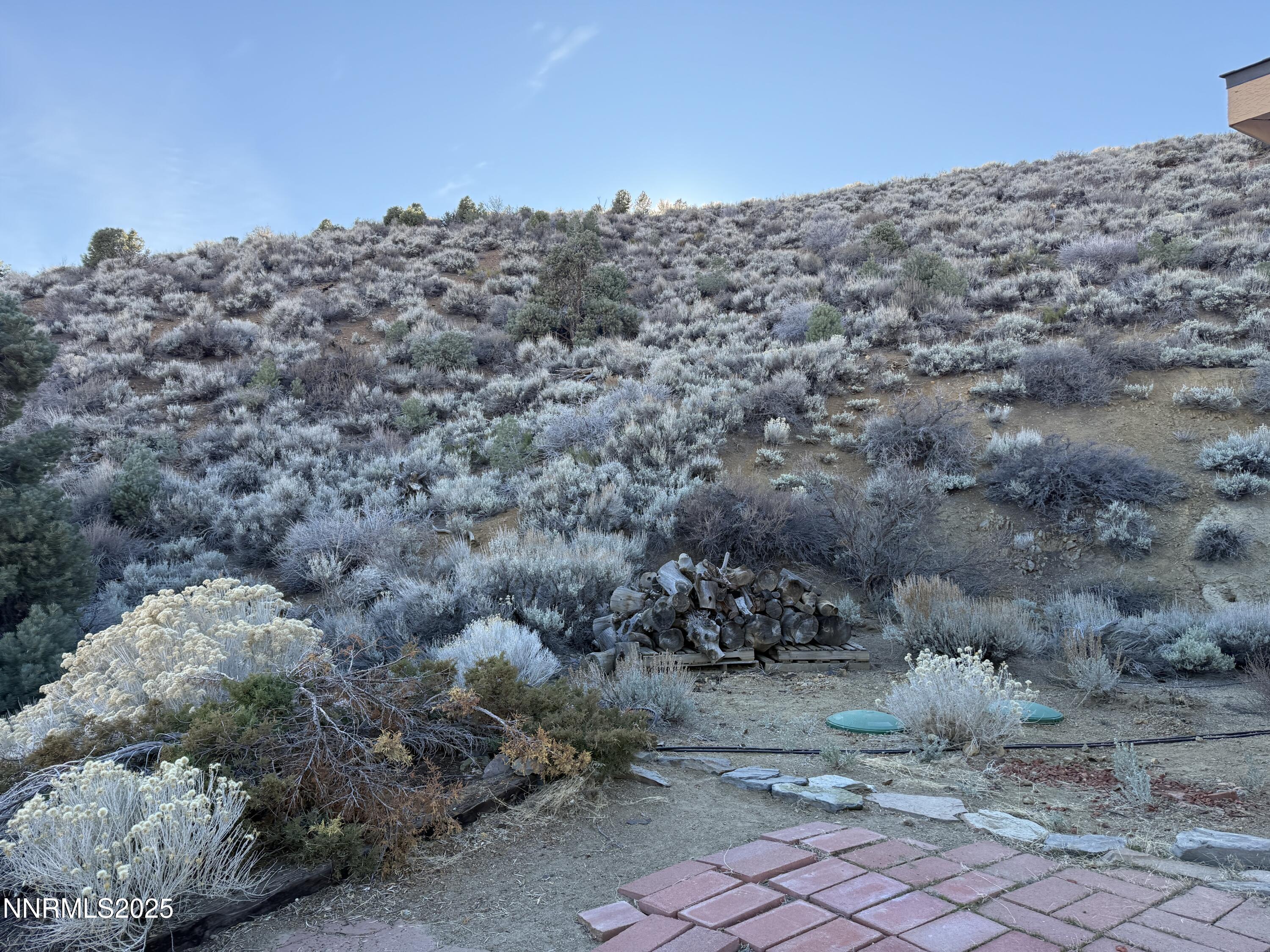 1166 Slate Road Topaz Ranch Estates, NV 89444 - Photo 27 of 31 IMG_0418