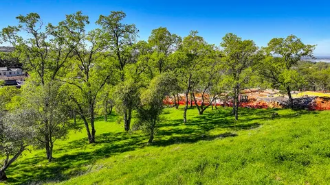 a green field with lots of trees
