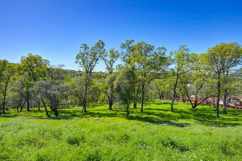 a view of a park with large trees