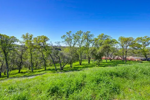 a view of grassy field with trees