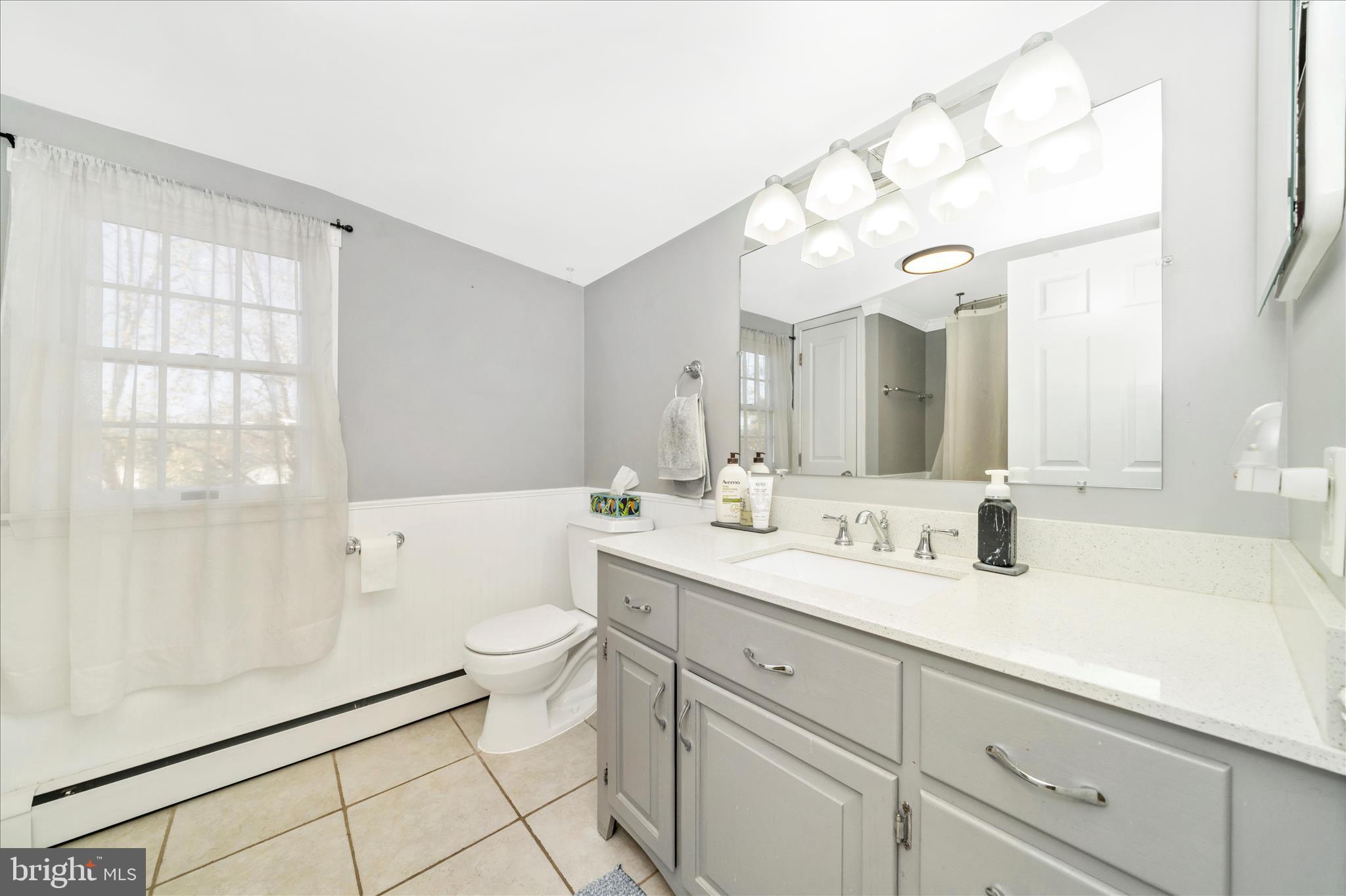 313 North Market Street Frederick, MD 21701 - Photo 25 of 40 a bathroom with a double vanity sink mirror and toilet