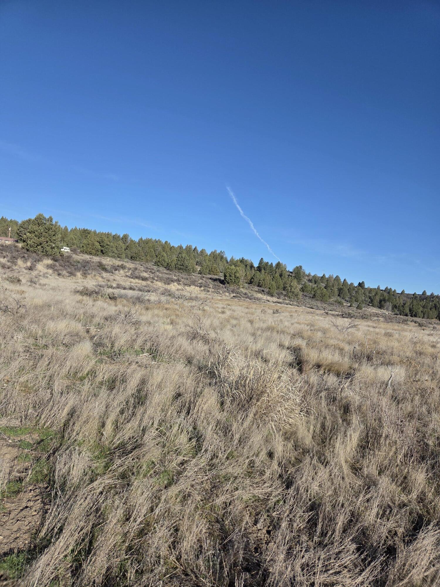 0 Drews Road, Unit LOT 8 Chiloquin, OR 97624 - Photo 5 of 39 a view of mountain view and mountain