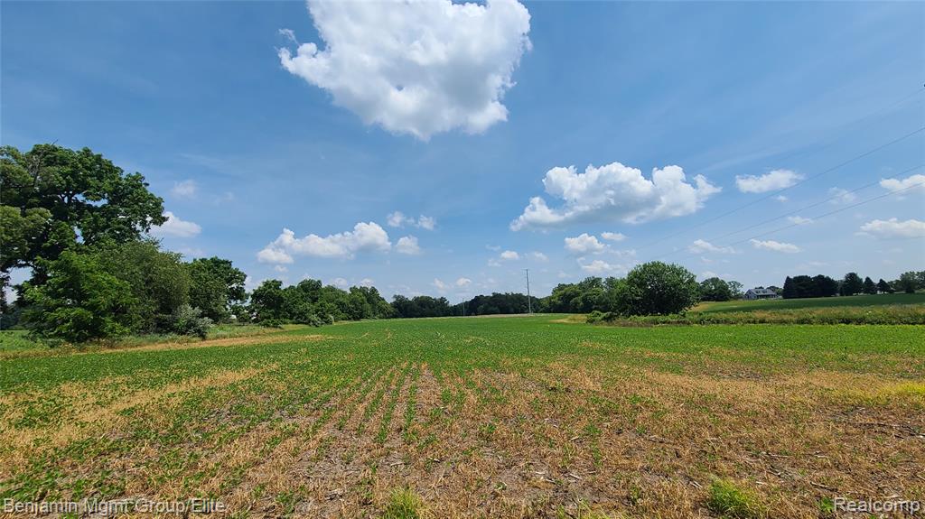 0 Schrepfer Road Howell, MI 48855 - Photo 6 of 6